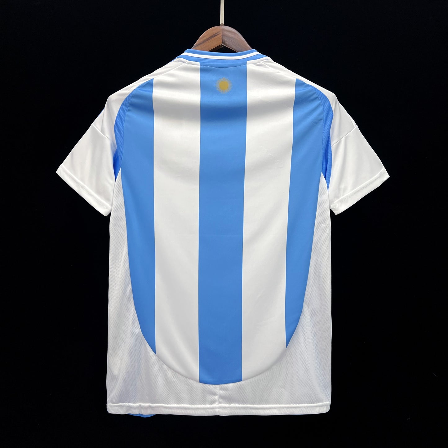 Argentina home kit fan edition 24/25