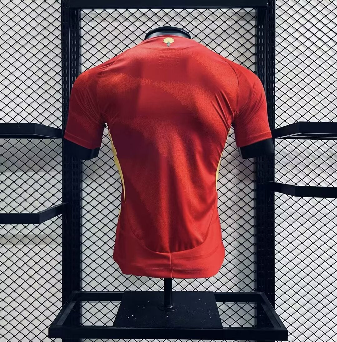 Spain Home Player Kit 24/25